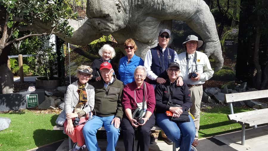 Wellington: Cave to Coast Highlights Guided Tour - Who this tour suits best (and who should choose something else)