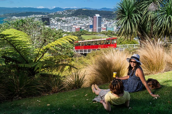 Wellington Cave to Coast Highlights Tour (5 Hours with Lunch) - Pickup, van comfort, and staying on a cruise-friendly timeline