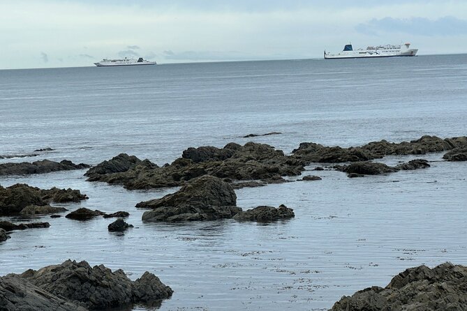 Wellington city heights shared sightseeing tour - Stop-by-stop: where the best photos come from