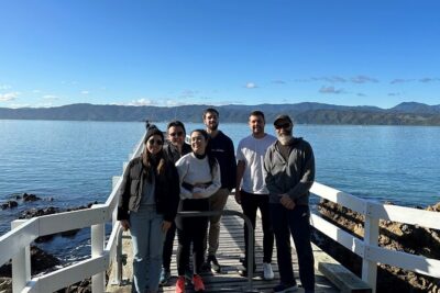 Wellington city heights sightseeing Private 5 hour tour
