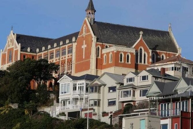 Wellington city heights sightseeing Private 5 hour tour - Shelly Bay and Red Rocks Reserve: Coastal Stops for Photos and Fresh Air