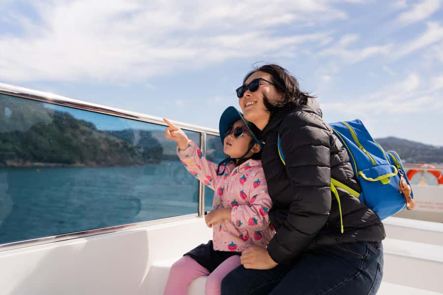 Wellington: Commentated Harbour Explorer tour - Onboard practical tips: comfort, timing, and what you can buy