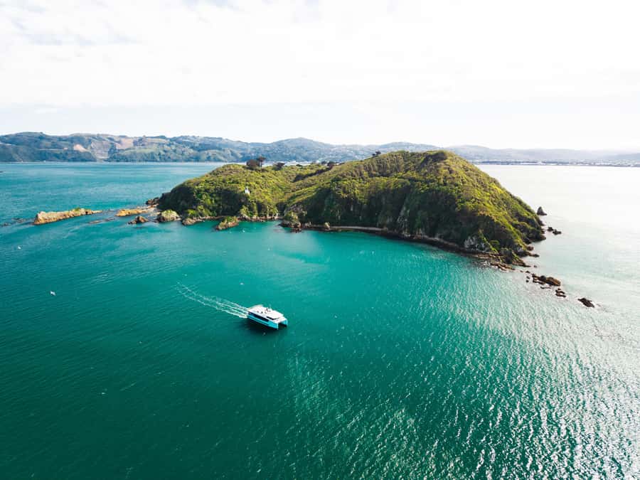 Wellington: Commentated Harbour Explorer tour - What the live guide actually adds to your sightseeing