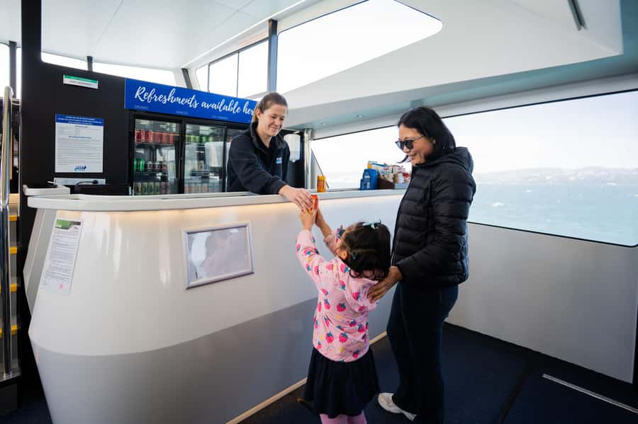 Wellington: Commentated Harbour Explorer tour - The 90-minute harbour circuit: what you experience during the cruise
