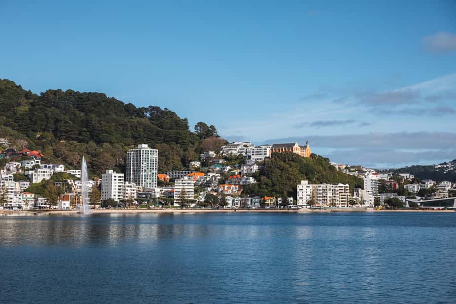 Wellington: Commentated Harbour Explorer tour - Natural and maritime history in motion: how the commentary connects the dots