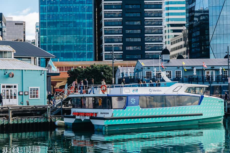 Wellington: Commentated Harbour Explorer tour - Route changes by conditions: how to get the best day out of it