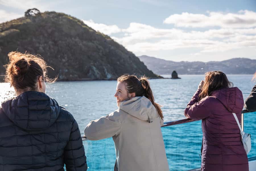 Wellington: Commentated Harbour Explorer tour - Who this tour suits best (and who should skip it)