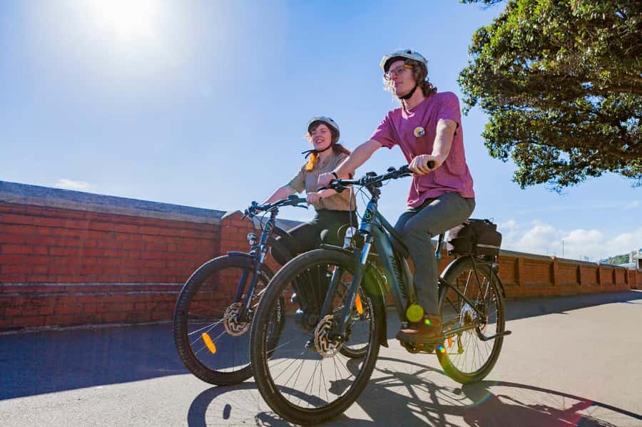 Wellington: Easy Rider Guided eBike Tour - The Stories Part: Māori History, Aotearoa Figures, and Cultural Threads