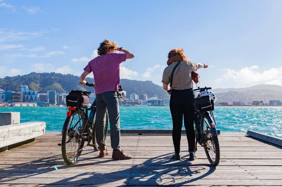Wellington: Easy Rider Guided eBike Tour - Should You Book the Wellington Easy Rider eBike Tour?