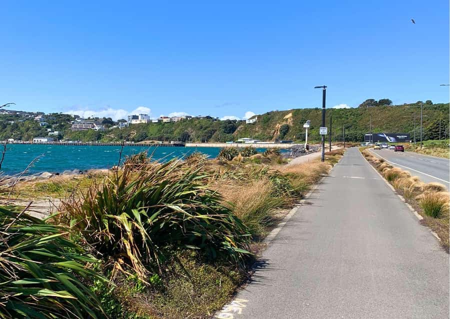 Wellington Electric Bike Rental - City highlights you can stitch in without losing momentum
