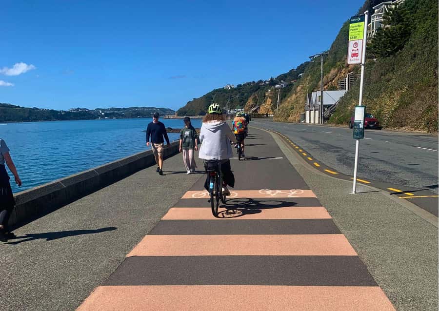 Wellington Electric Bike Rental - Pencarrow Lighthouse: a longer day with ferry access and real payoff