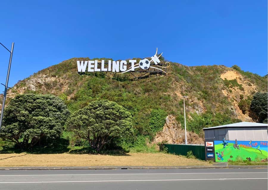 Wellington Electric Bike Rental - Battery power, hills, and how to ride without stress
