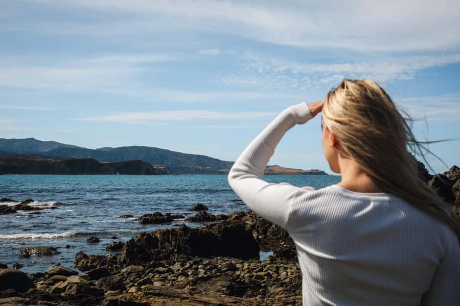 Wellington: Guided City Tour with Cable Car Ticket - A 3-hour Wellington intro that makes the rest of your trip easier