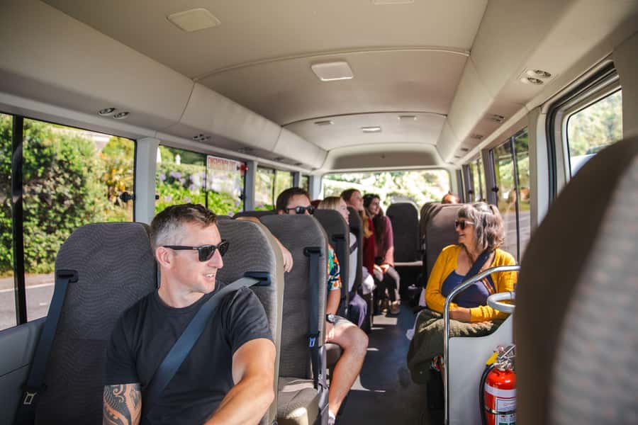 Wellington: Guided City Tour with Cable Car Ticket - Cable Car timing, including the maintenance closure