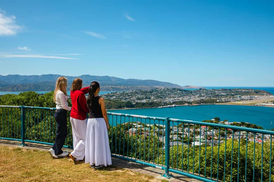 Wellington: Guided City Tour with Cable Car Ticket - The guides make it feel personal, funny, and easy to follow