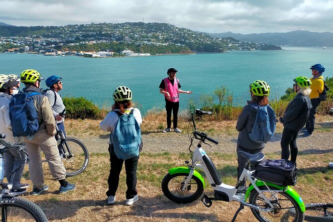 Wellington Guided eBike Tour-Cruise Shore Excursion - Key highlights you will feel right away