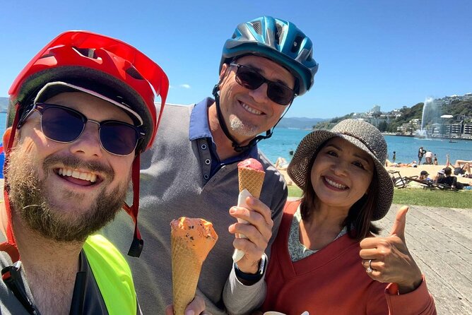 Wellington Guided eBike Tour-Cruise Shore Excursion - Why eBikes fit Wellington so well