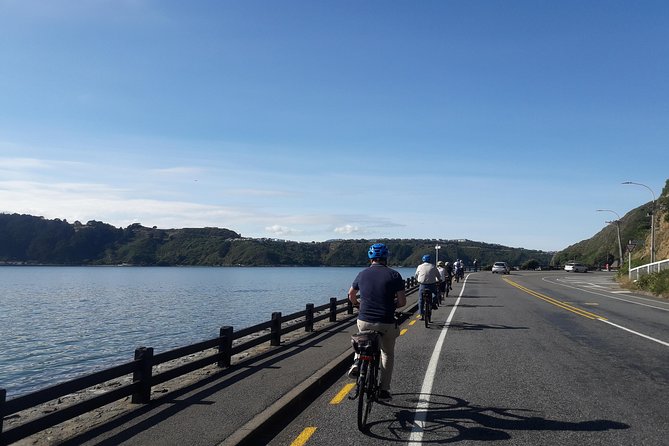 Wellington Guided eBike Tour-Cruise Shore Excursion - Zephyrometer and the wind theme that drives the whole route