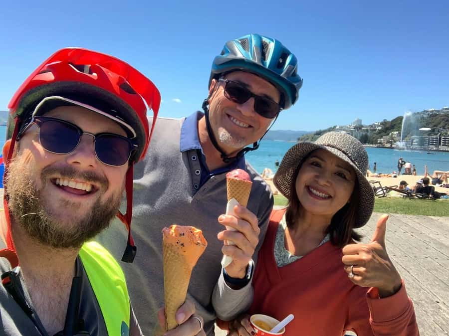 Wellington: Guided Sightseeing Tour by Electric Bike - Key highlights worth aiming for