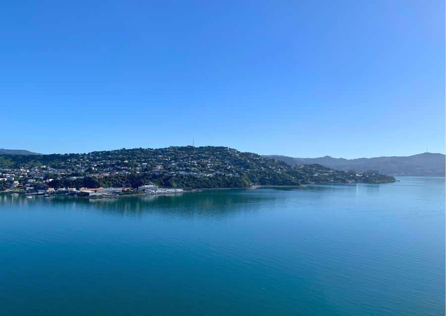 Wellington: Guided Sightseeing Tour by Electric Bike - Past Oriental Bay to the Miramar Peninsula coast