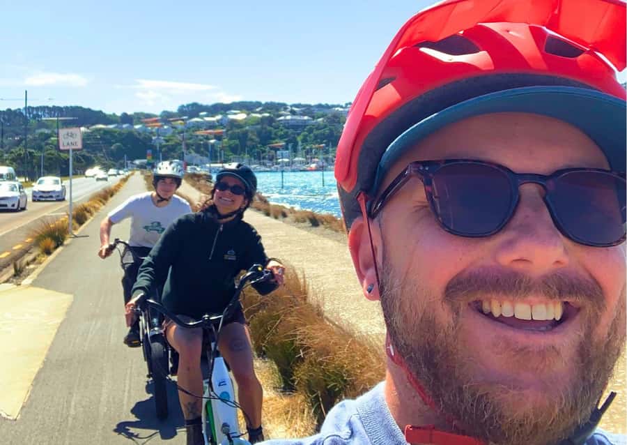 Wellington: Guided Sightseeing Tour by Electric Bike - Climb to the lookout point for the best city picture