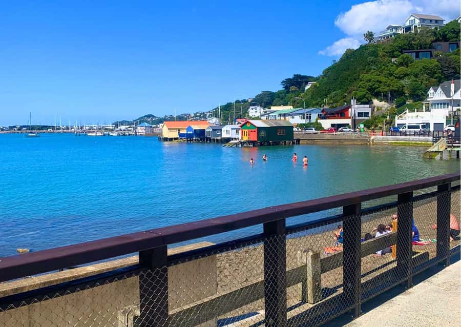 Wellington: Guided Sightseeing Tour by Electric Bike - Who this electric bike tour is really for
