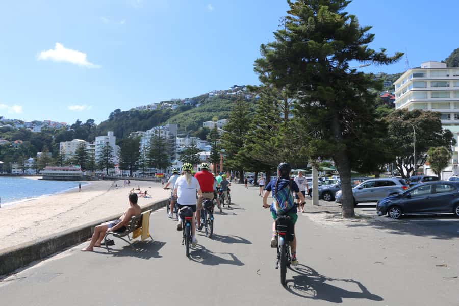 Wellington: Guided Sightseeing Tour by Electric Bike - Practical logistics that save stress