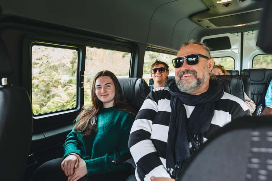 Wellington: Half Day Seal Coast Safari - Key highlights at a glance