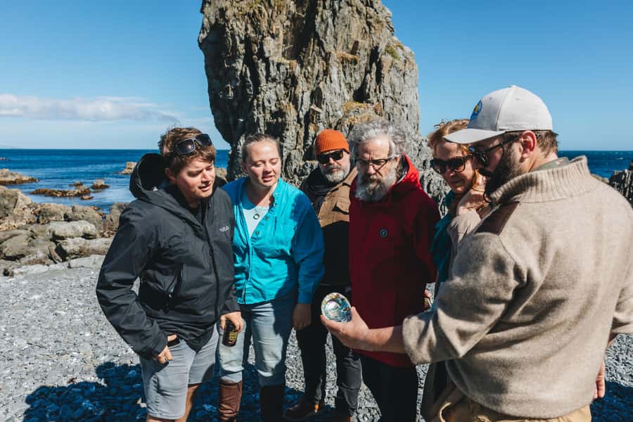 Wellington: Half Day Seal Coast Safari - Otari-Wilton’s Bush: native plants, skybridge views, and real birding clues