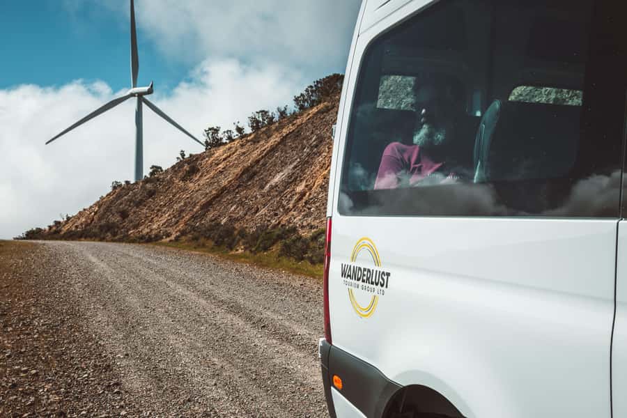 Wellington: Half Day Seal Coast Safari - Terawhiti Station and the story of farmland, kiwi, and power in windy Welly