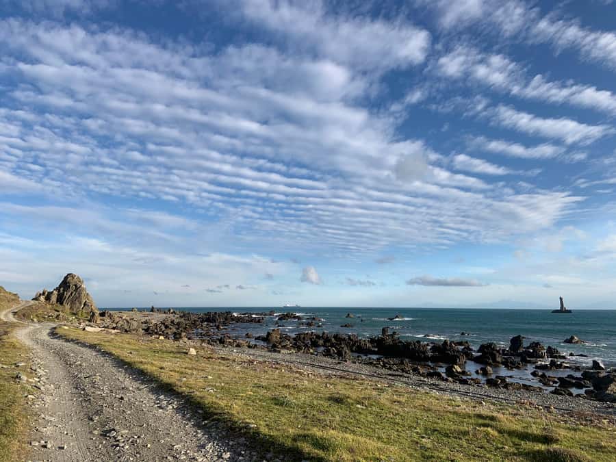 Wellington: Half Day Seal Coast Safari - The leaning lighthouse stop and the approach to Tongue Point