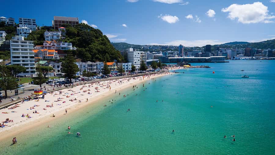Wellington Helicopters Scenic Harbour Flight - Key things I would plan around