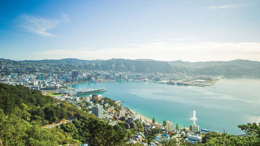 Wellington Helicopters Scenic Harbour Flight - Wellington’s tectonic terrain, explained by the view
