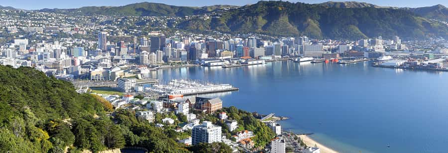 Wellington: Highlights Tour with a Local Guide - A 3.5-hour Wellington loop with a local voice