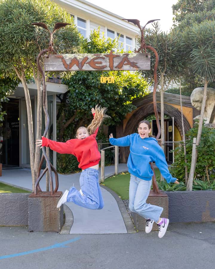 Wellington: Highlights Tour with a Local Guide - The 360-degree viewpoint: where the photos get easy