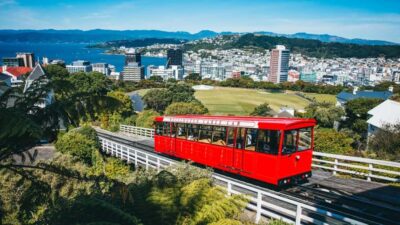 Highlights Tour with a Local Guide