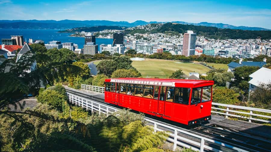 Wellington: Highlights Tour with a Local Guide - Pickup that actually matches how you’ll be arriving