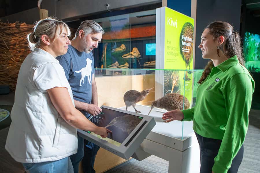 Wellington: Museum of NZ Intro Tour & General Admission - Key highlights before you go