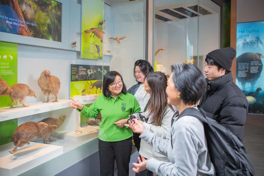 Wellington: Museum of NZ Intro Tour & General Admission - Using your 48-hour Te Papa admission like a pro