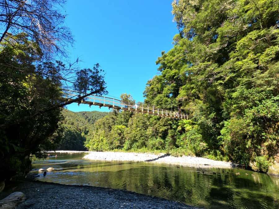 Wellington: Original LOTR Full-Day Tour with Weta & Lunch - Outer Shire film footsteps, Frodo moments you can actually stand on