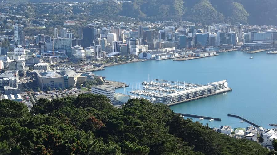 Wellington: Original LOTR Half-Day Experience with Weta - Key Things You Will Notice on This Tour