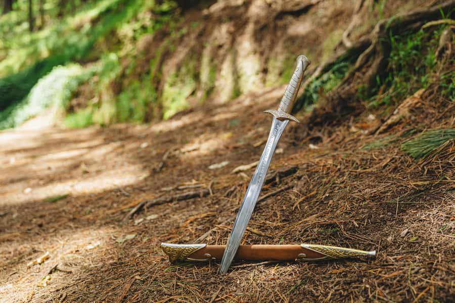 Wellington: Original LOTR Half-Day Experience with Weta - Following the Lord of the Rings Moments: Mushrooms, Black Riders, and Getting Off the Road