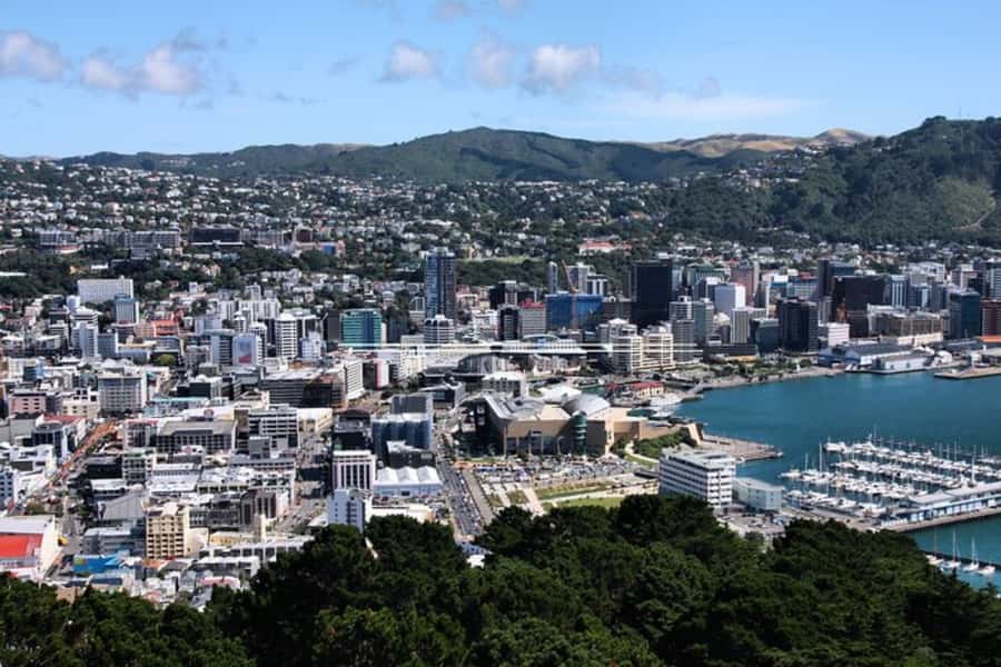 Wellington: Private custom tour with a local guide - How hotel pickup makes your Wellington day start easier