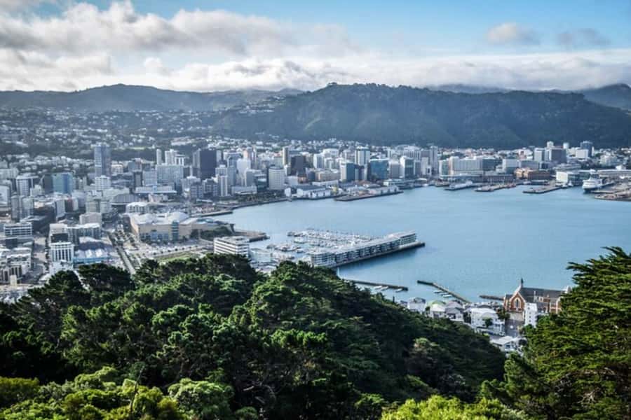 Wellington: Private custom tour with a local guide - A local guide who adapts the route to your interests