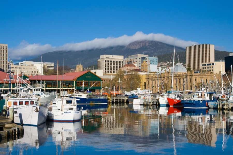 Wellington: Private custom tour with a local guide - Choosing 2 to 8 hours without overstuffing your day