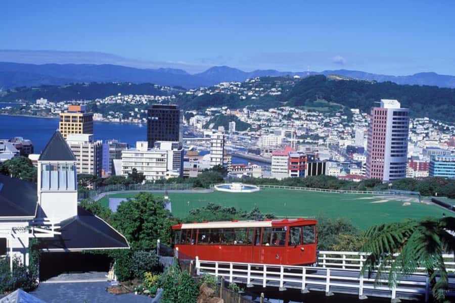 Wellington: Private custom tour with a local guide - Harbor viewpoints, monuments exteriors, and city culture stops
