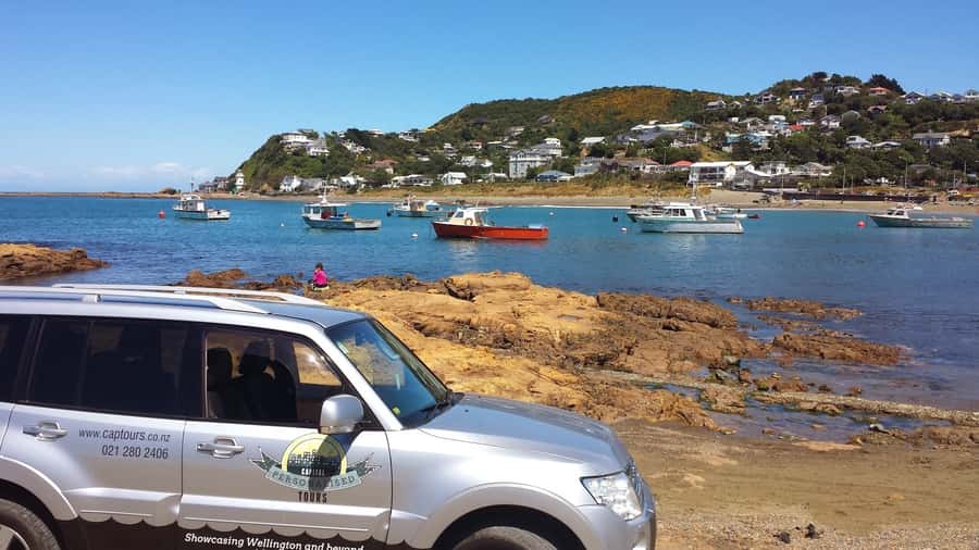 Wellington: Private Day Tour with Lunch - Key Highlights You Can Count On