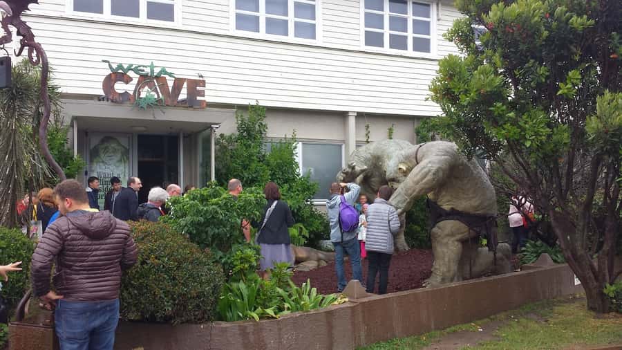 Wellington: Private Day Tour with Lunch - Why This Private Wellington Day Tour Feels Like a Local Day