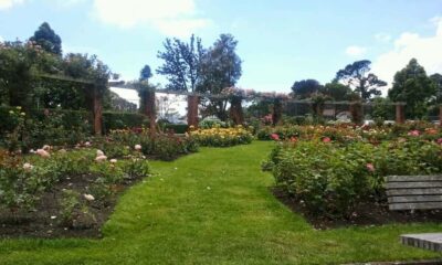 Private Day Tour with Lunch