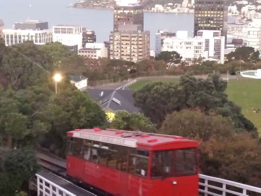 Wellington: Private Day Tour with Lunch - Wright Hill: A Historic Military View Over Greater Wellington